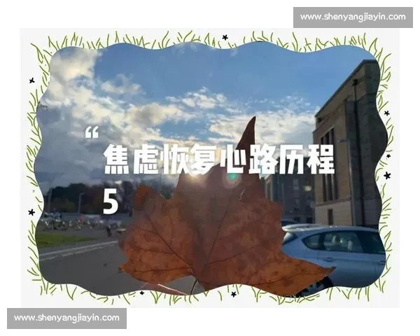 围绕消耗体力打造高效训练与恢复平衡的全新实践指南与方法探索论